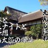 向日葵とアンモナイトと相場予想→浦島太郎の爆誕